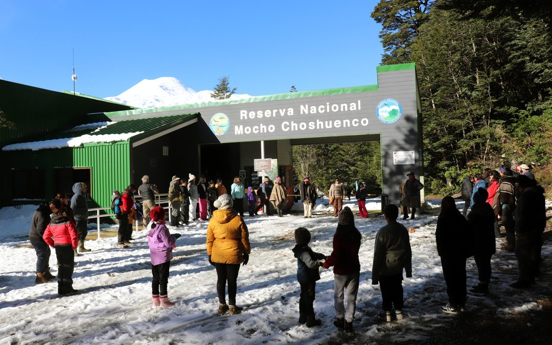 NIÑOS EXPLORANDO EL TERRITORIO EN EL QUE VIVEN Y EXPRESÁNDOLO ARTÍSTICAMENTE